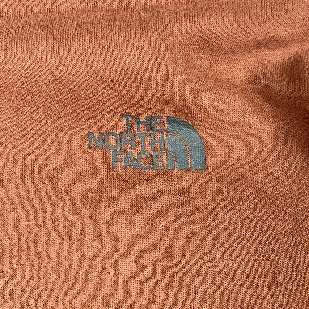 The North Face Hoodie Mens S Brown Grizzly Bear Half Dome Pullover Sweatshirt